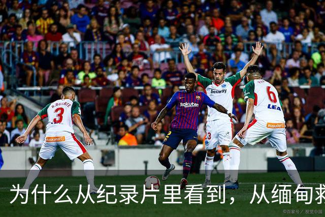 为什么从纪录片里看到，从缅甸救回来的受害者几乎全是男性？因为被骗进园区的女孩逃脱率基本为零